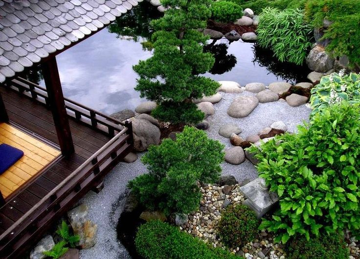 \"Cuốn
