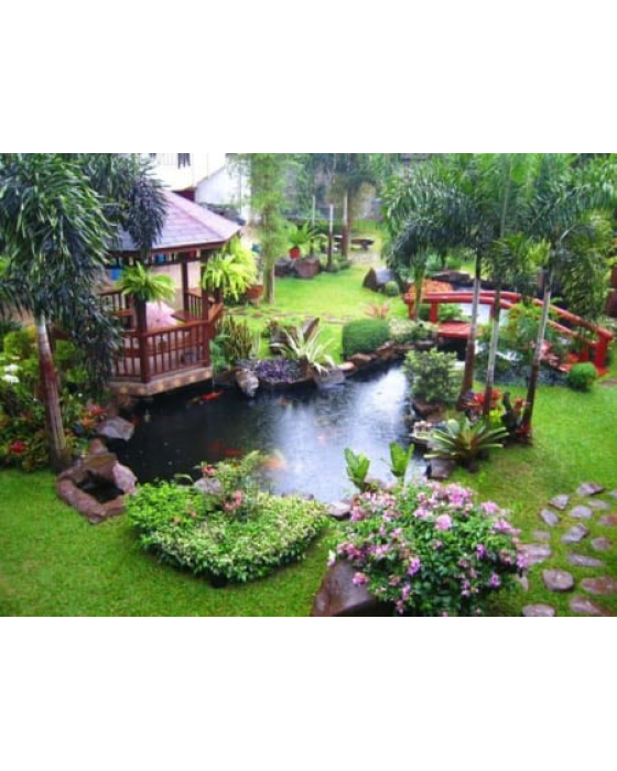 30+ mẫu sân vườn đẹp